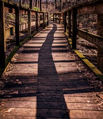 Obraz premium wooden bridge in autumn