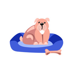 Cute cartoon dog sitting on bed isolated on white background. Flat vector illustration.