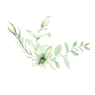 Hand drawing watercolorcomposition of wild forest branches and leaves. illustration isolated on white