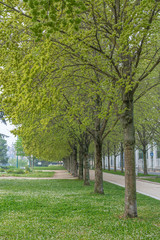 Gennevilliers, France - 04 11 2020: Park with flowering trees in spring