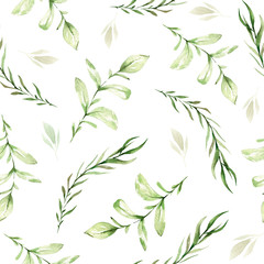 Hand drawing watercolor spring Pattern of wild leaves and branches. illustration isolated on white. Perfect for summer wedding invitation and card making