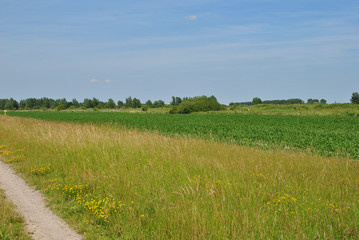 Felder in Ostfriesland
