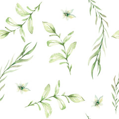 Hand drawing watercolor spring Pattern of wild leaves and branches. illustration isolated on white. Perfect for summer wedding invitation and card making