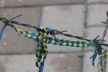 black barbed wire, carnation flower and colored ribbon. symbol of strugle for freedom