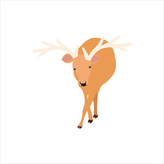 Christmas animal cartoon deer clip art illustration