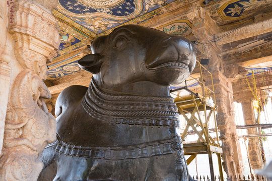 Closeup view of nandhi in Tanjore temple at Tamilnadu India