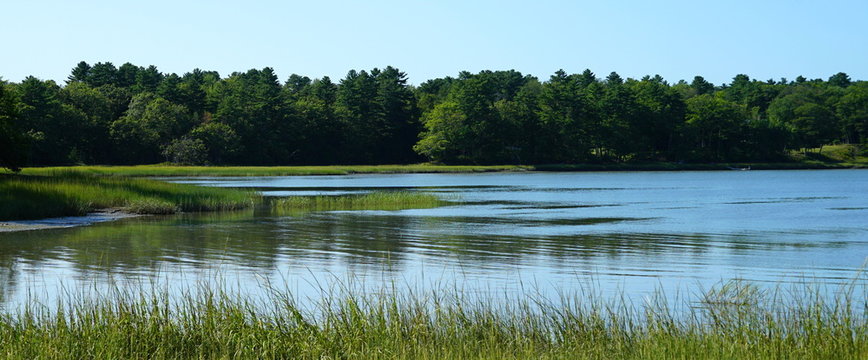 View on Staples Cove, Winslow Memorial Park, USA.