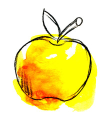 yellow-red apple in watercolor and pencil
