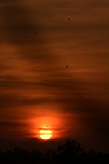 Fototapeta premium sunset over the sea