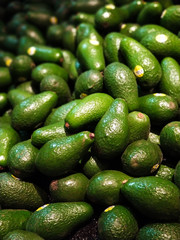 Lots of Avocado Fruits at the Grocery Store