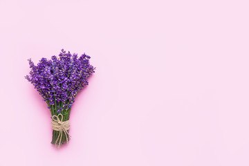 Bunch of fresh lavender on pink background. Violet flowers. Greeting floral card with place for text. Flat lay, copy space.