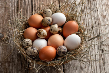 Hen and quail eggs in a wicker basket