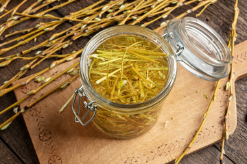 Preparation of tincture from white willow bark collected in spring
