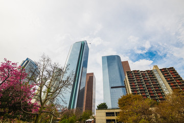 Fototapeta premium skyscrapers in downtown Los Angeles
