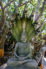 Buddha with Naga statue in Big Buddha Temple, Naga is Buddha's guardian according to Buddhist belief
