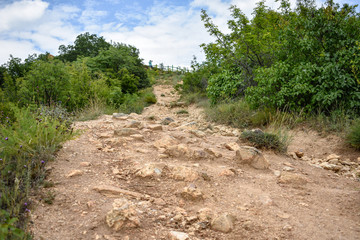 Steep mountain path through green bushes. Hiking in the mountains
