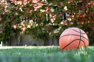 play basket at home
