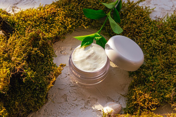 Moisturizing cream jar on the background with moss and greenery. Natural organic cosmetics concept,...
