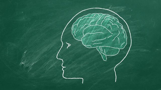 Brain drawing with chalk on greenboard