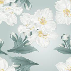 Seamless texture twig jasmine flowers and buds on a blue background watercolor vintage vector illustration  editable hand draw