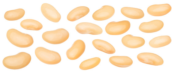 white beans isolated on white background
