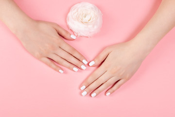 Hands of a beautiful woman on a colorful background. Delicate palm with natural manicure, clean skin. Light pink nails.
