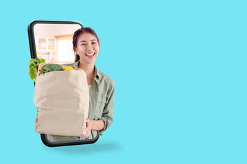 Young attractive asian female hold shopping groceries bag happy smiling on supermarket online store...