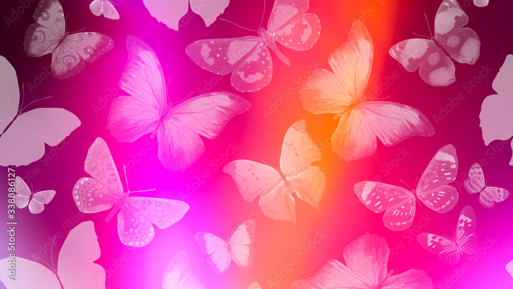Poster beautiful gradient background with butterflies and highlights
