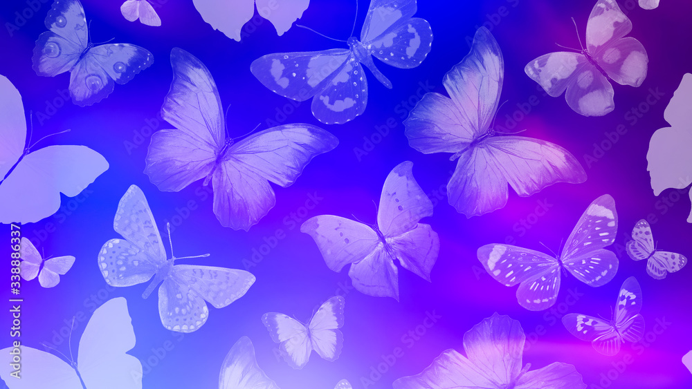 Poster beautiful gradient background with butterflies and highlights