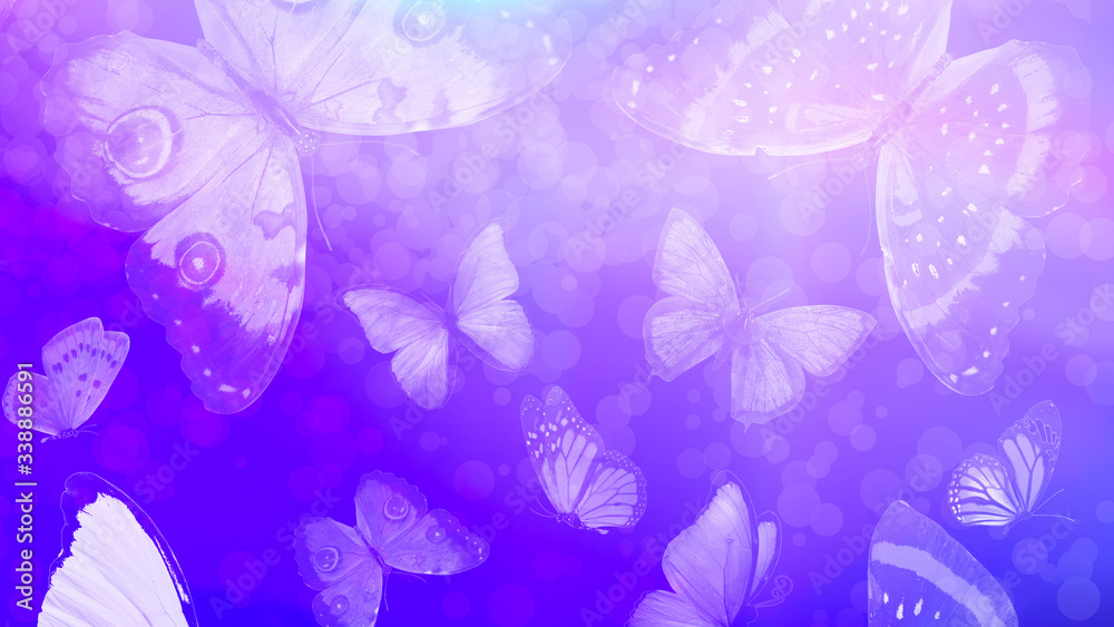 Poster beautiful gradient background with butterflies and highlights