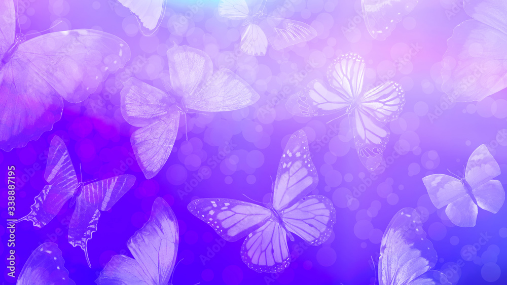 Poster beautiful gradient background with butterflies and highlights