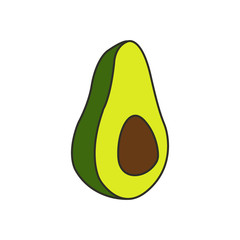 Isolated avocado vector illustration on white background. Avocado illustration. Tropical fruit in vector