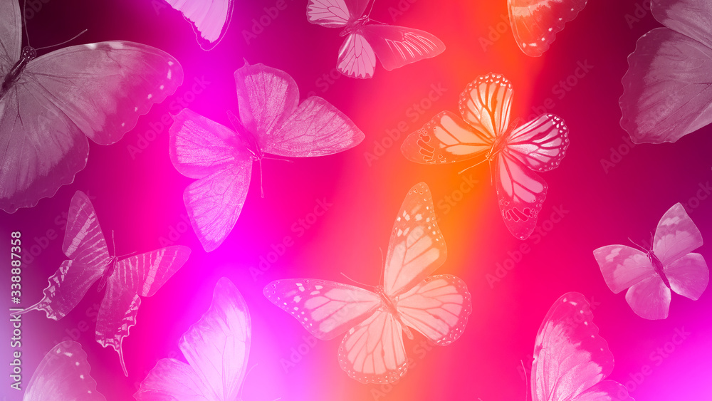 Poster beautiful gradient background with butterflies and highlights