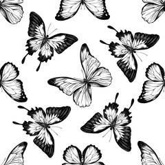 Seamless pattern with black and white blue emperor, menelaus blue morpho, blue morpho