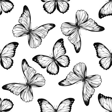 Seamless pattern with black and white menelaus blue morpho, blue morpho