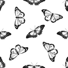 Seamless pattern with black and white red lacewing, plain tiger