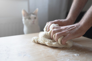 young Caucasian male hands working the dough near his cat pet