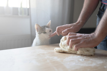 young Caucasian male hands working the dough near his cat pet