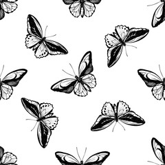 Seamless pattern with black and white common green birdwing, wallace's golden birdwing