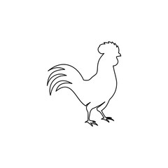 Rooster line icon isolated on white background