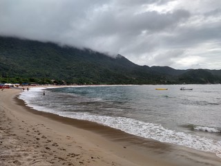 a beach with rocks and trees