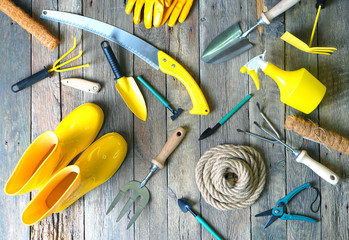 Garden tools assortment on the wooden background. Top view.