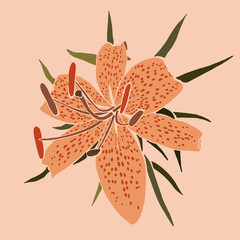 Art collage lily flower in a minimal trendy style. Silhouette of lily plants in a abstract style. Vector illustration - obrazy, fototapety, plakaty