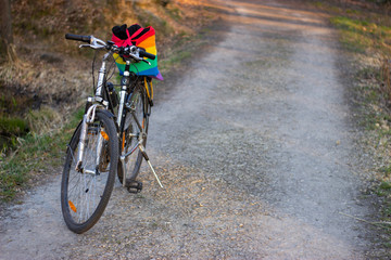 tolerant bike at the edge of the forest