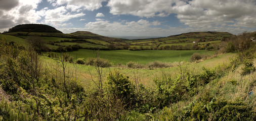 Coastal meadows and the English Channel seen from near Golden Cap on the Dorset coast © elliottcb