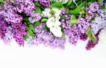 Fresh lilac flowers