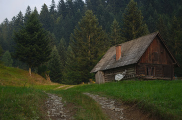 Fototapeta na wymiar Chata w lesie w górach