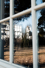 Fototapeta premium Greenhouse Eyes