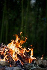 Feu de camp flammes dans la nature