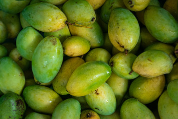 Fresh mango from the farm with water droplets